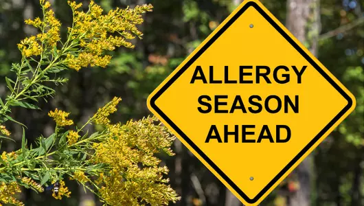 Allergy Season