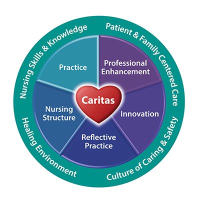Nursing Professional Framework