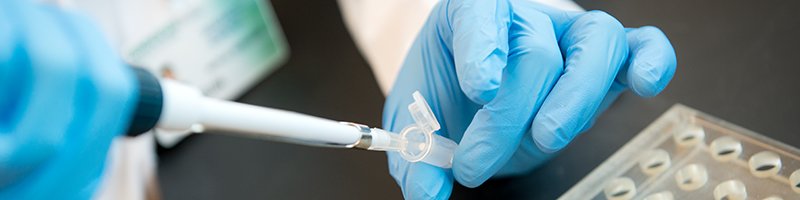 hands using a syringe in a tube