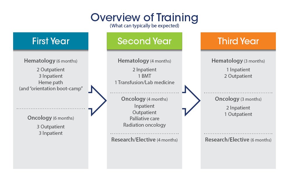 Overview of training. First Year. Second Year. Third Year. 