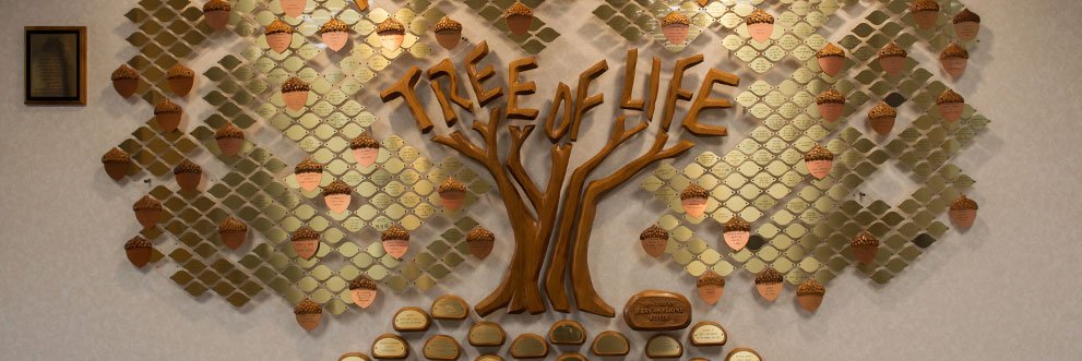 Gundersen Moundview Tree of Life