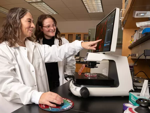 Two ovarian cancer research scientists examining results on computer.