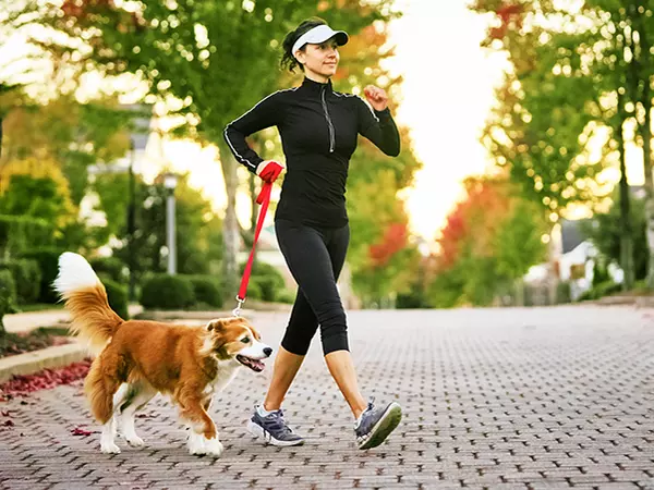 how your dog can help you walk 10000 steps a day