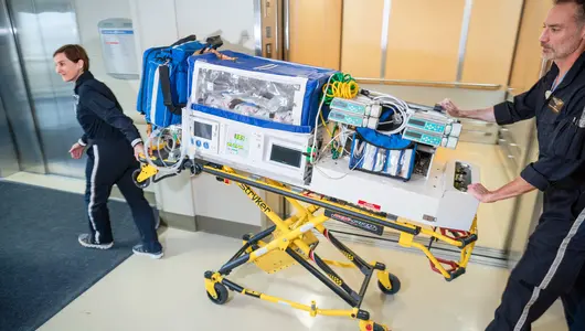 Two healthcare professionals pushing neonatal ground transport isolette.