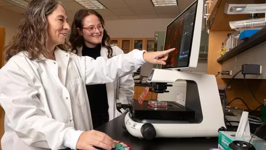 Two ovarian cancer research scientists examining results on computer.