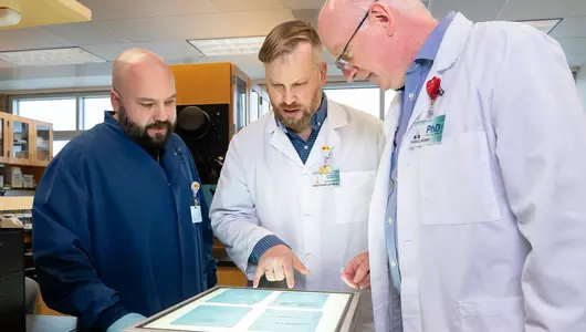 Three male cancer research scientists working together in the laboratory.