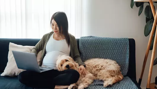 Beautiful Asian pregnant woman working from home with computer, sitting on sofa while her dog leaning on her lap.