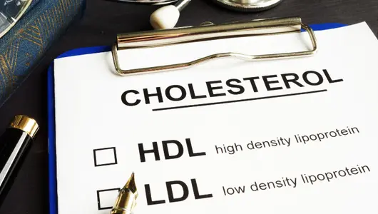 cholesterol HDL LDL chart