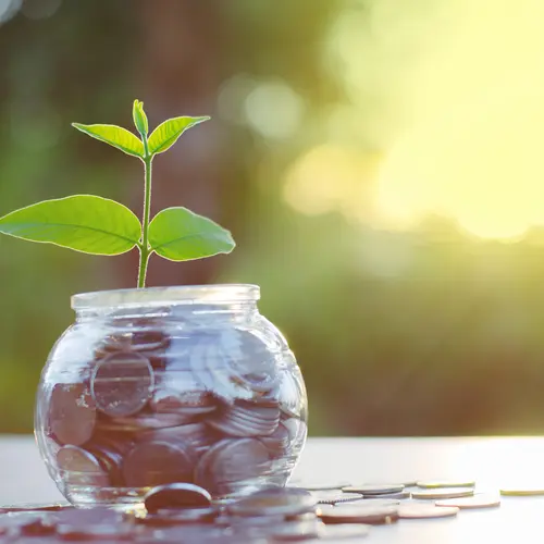 Plant growing from jar of coins.
